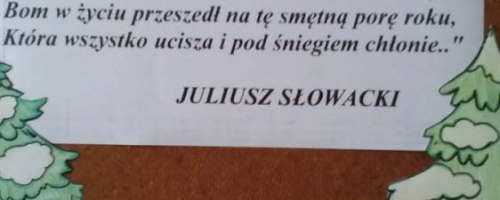 piękno zimy